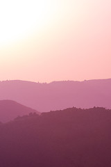 Image showing ultra violet purple summer landscape