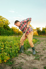 Image showing farming, gardening, agriculture and people concept -