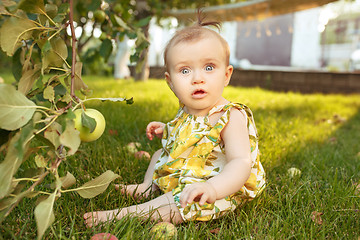 Image showing The happy young baby girl during picking apples in a garden outdoors