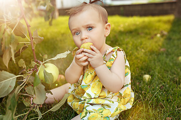 Image showing The happy young baby girl during picking apples in a garden outdoors