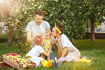 Image showing The happy young family during picking apples in a garden outdoors