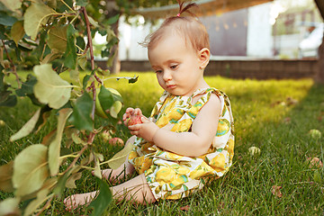 Image showing The happy young baby girl during picking apples in a garden outdoors