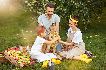 Image showing The happy young family during picking apples in a garden outdoors