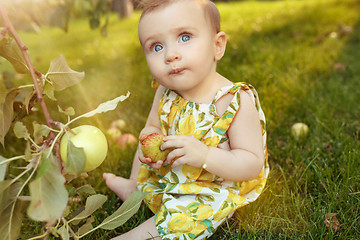 Image showing The happy young baby girl during picking apples in a garden outdoors