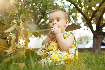 Image showing The happy young baby girl during picking apples in a garden outdoors