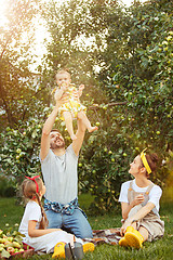 Image showing The happy young family during picking apples in a garden outdoors