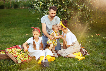 Image showing The happy young family during picking apples in a garden outdoors