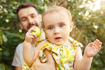 Image showing The happy young family during picking apples in a garden outdoors