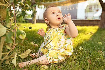 Image showing The happy young baby girl during picking apples in a garden outdoors