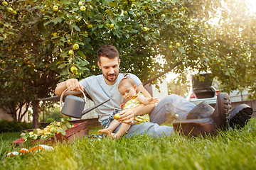 Image showing The happy young family during picking apples in a garden outdoors