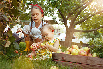 Image showing The happy young girland baby during picking apples in a garden outdoors