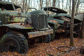 Image showing Fallen tree on abandoned truck left outside