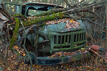 Image showing Fallen tree on abandoned truck left outside