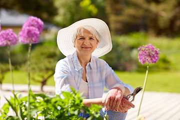 Image showing senior woman with garden pruner and flowers