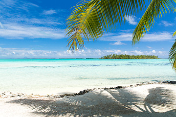 Image showing tropical beach with palm tree in french polynesia