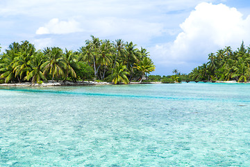 Image showing bridge on tropical beach in french polynesia