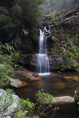 Image showing Bushland oasis with pretty waterfall tumbling into rock pool