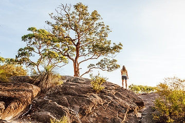 Image showing Back view of a woman under grand old tree at mountain cliff lookout