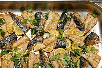 Image showing Grilled Mackerel Fillet