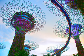 Image showing Gardens by the Bay, Singapore