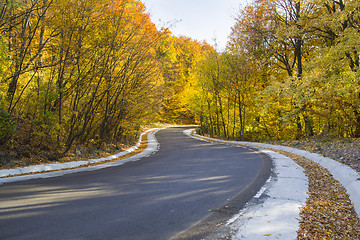 Image showing Autumn curvy road