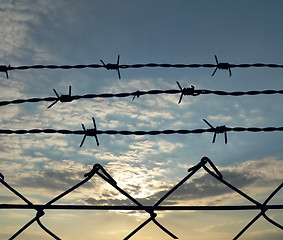 Image showing Razor wire