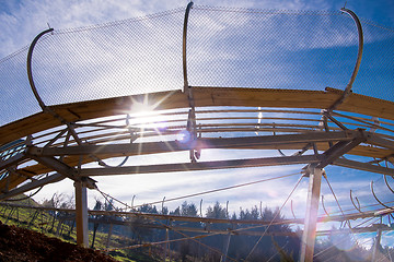 Image showing Alpine coaster