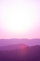 Image showing ultra violet purple summer landscape