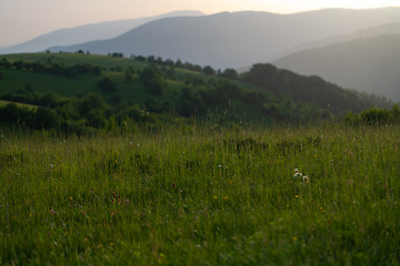 Image showing landscape nature summer