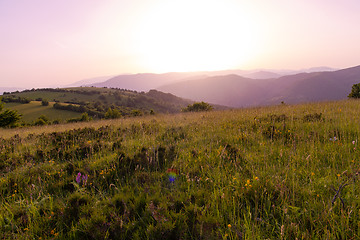 Image showing landscape nature summer