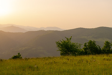 Image showing landscape nature summer