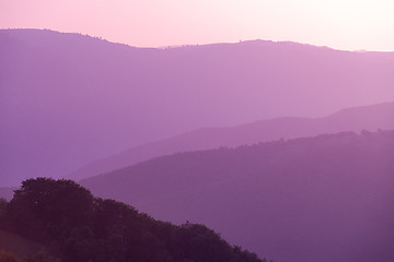 Image showing ultra violet purple summer landscape