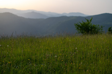 Image showing landscape nature summer