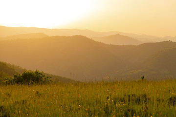 Image showing landscape nature summer