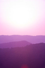 Image showing ultra violet purple summer landscape