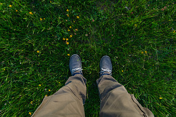 Image showing top view of legs in grass