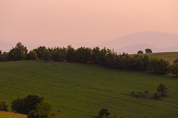 Image showing landscape nature summer