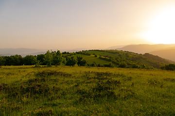 Image showing landscape nature summer