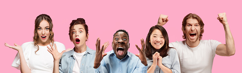 Image showing Half-length close up portrait of young people on pink background.