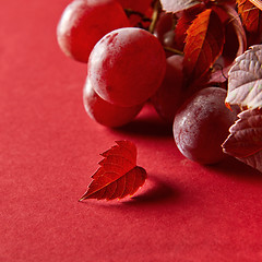 Image showing bunch of ripe red grapes