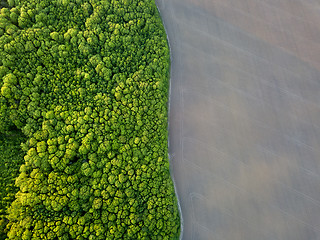 Image showing Aerial view from the drone, a bird\'s eye view to the forest with green spaces and agricultural field with the road dividing them in half at sunset in the summer evening,