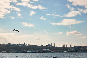 Image showing Beautiful sea view with gulls