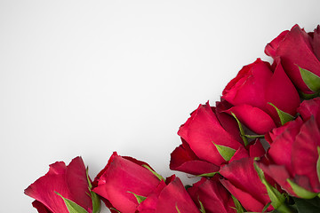 Image showing close up of red roses on white background