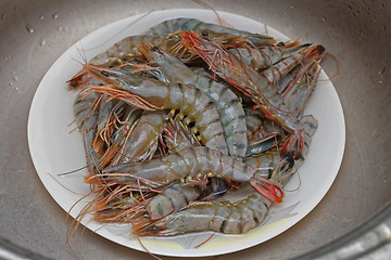 Image showing Shrimps Tiger