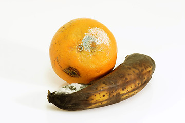 Image showing Contaminated fruits