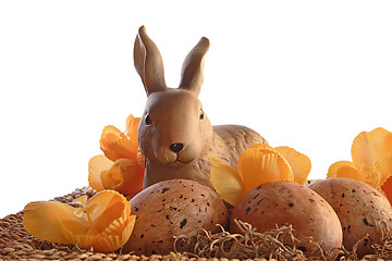 Image showing Easter bunny