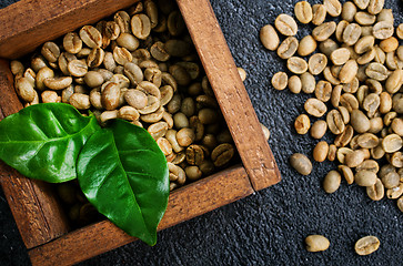 Image showing green coffee