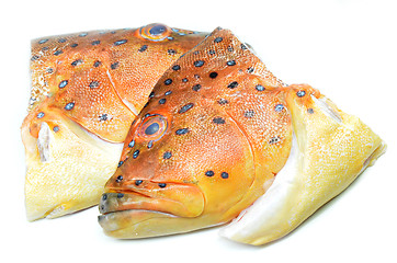 Image showing Grouper fish head on white background