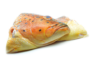 Image showing Grouper fish head on white background