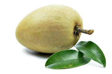 Image showing Fresh sapodilla tropical fruit